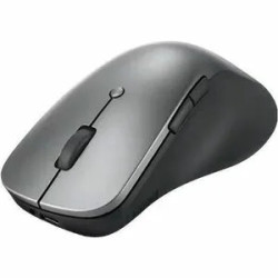 Lenovo Prof Bluetooth...
