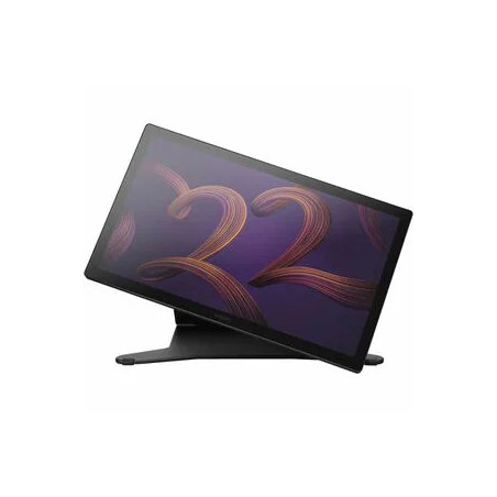 CINTIQ PRO 22 ERGONOMIC STAND