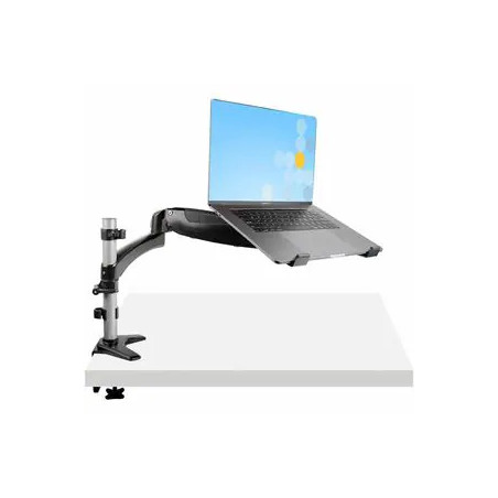 STARTECH LAPTOP ARM DESK MOUNT, ARTICULATING, H/ADJ, 5 YR