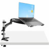 STARTECH LAPTOP ARM DESK MOUNT, ARTICULATING, H/ADJ, 5 YR