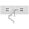 ATDEC DUAL RAIL DESK MOUNT SILVER